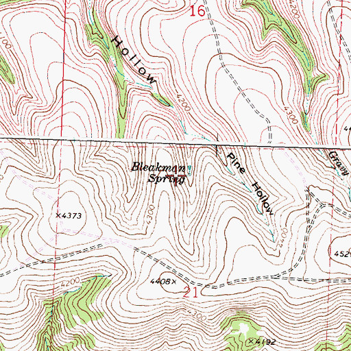 Topographic Map of Bleakman Spring, OR