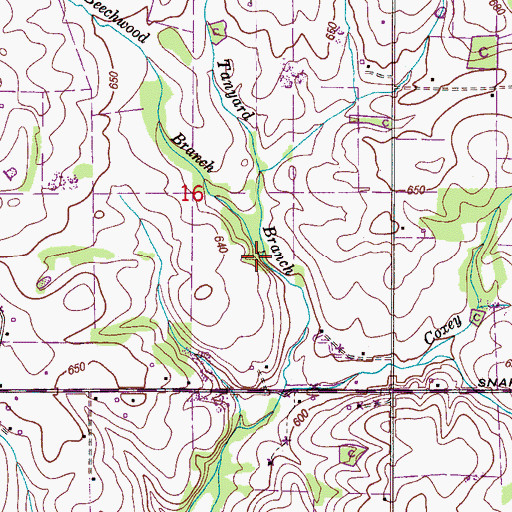 Topographic Map of Beechwood Branch, AL