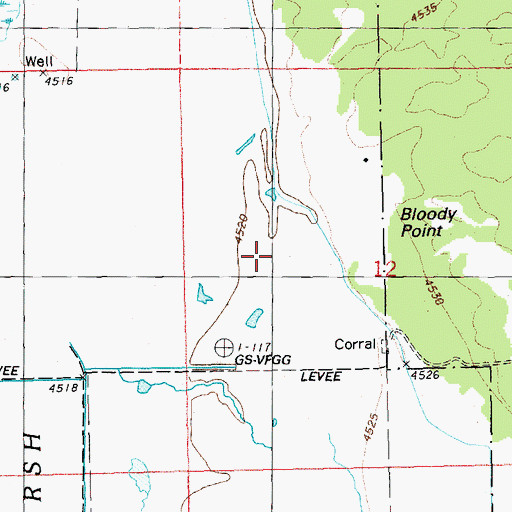 Topographic Map of Bloody Point, OR
