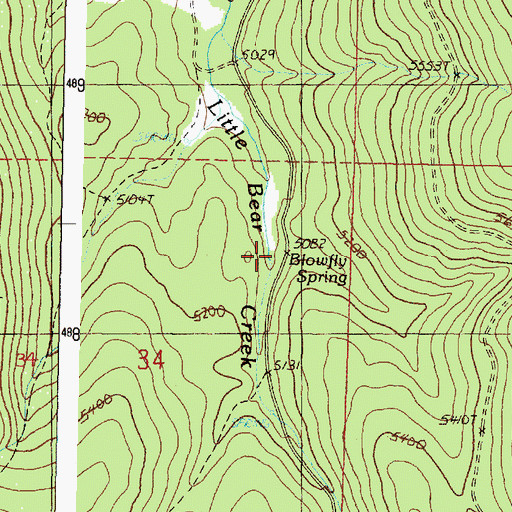 Topographic Map of Blowfly Spring, OR