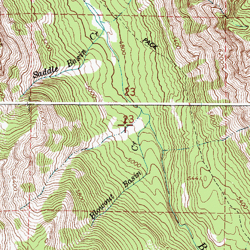 Topographic Map of Blowout Basin Creek, OR