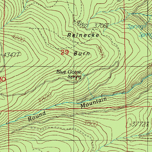 Topographic Map of Blue Goose Spring, OR