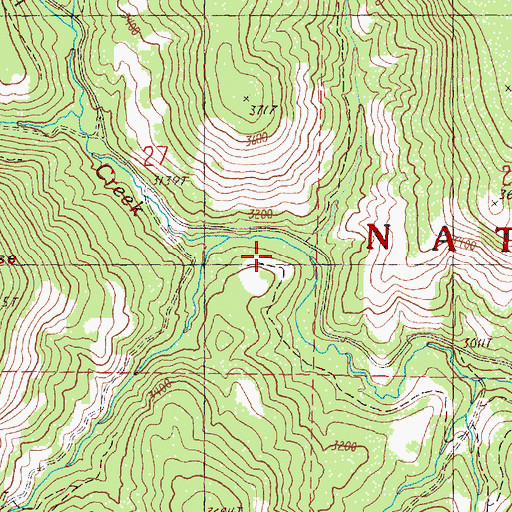 Topographic Map of Blue Spruce Camp, OR