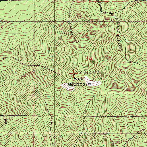 Topographic Map of Boaz Mountain, OR