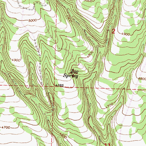 Topographic Map of Bog Spring, OR