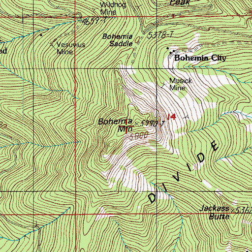 Topographic Map of Bohemia Mountain, OR