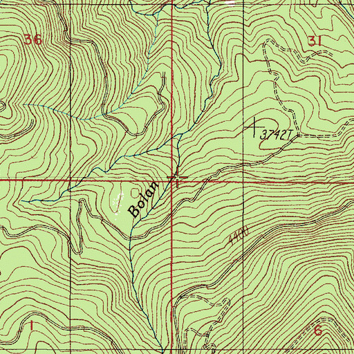 Topographic Map of Bolan Mine, OR