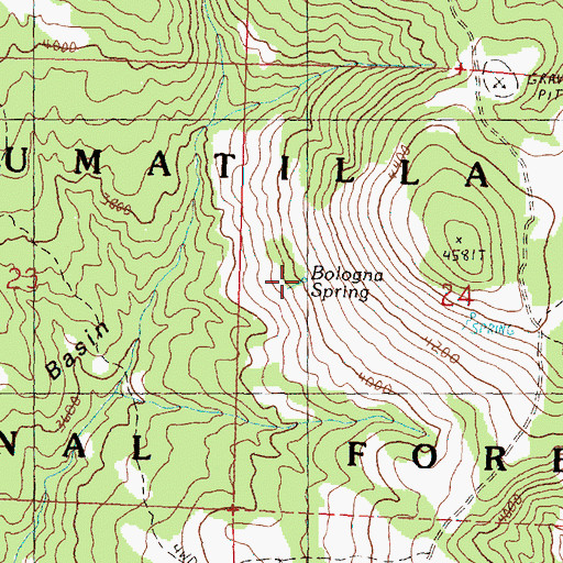 Topographic Map of Bologna Spring, OR