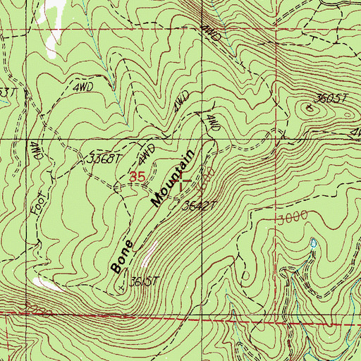 Topographic Map of Bone Mountain, OR