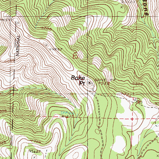Topographic Map of Bone Point, OR