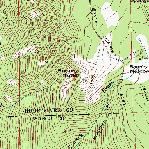 Topographic Map of Bonney Butte, OR