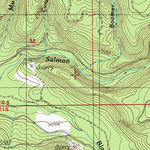 Topographic Map of Boomer Creek, OR