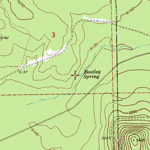 Topographic Map of Bootleg Spring, OR
