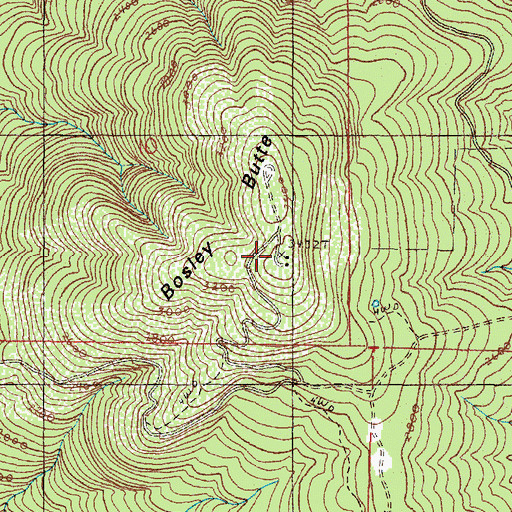 Topographic Map of Bosley Butte, OR