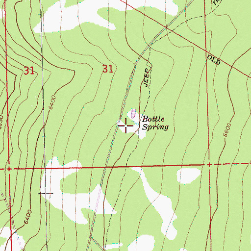 Topographic Map of Bottle Spring, OR