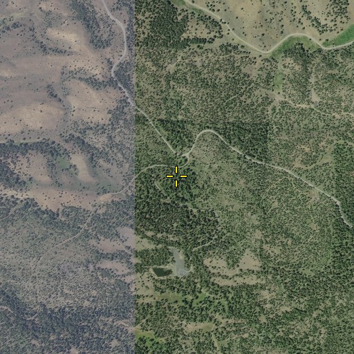 Aerial/Satellite Image of Boundary Spring, OR