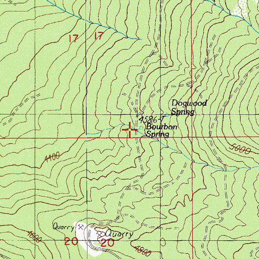 Topographic Map of Bourbon Spring, OR