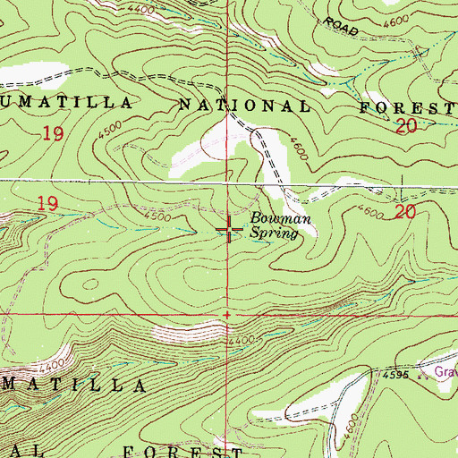 Topographic Map of Bowman Spring, OR
