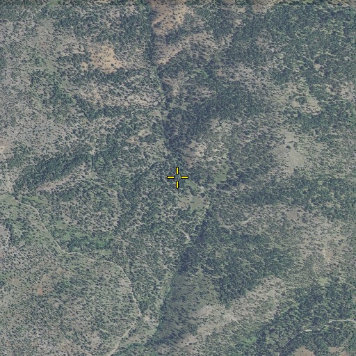 Aerial/Satellite Image of Box Spring, OR