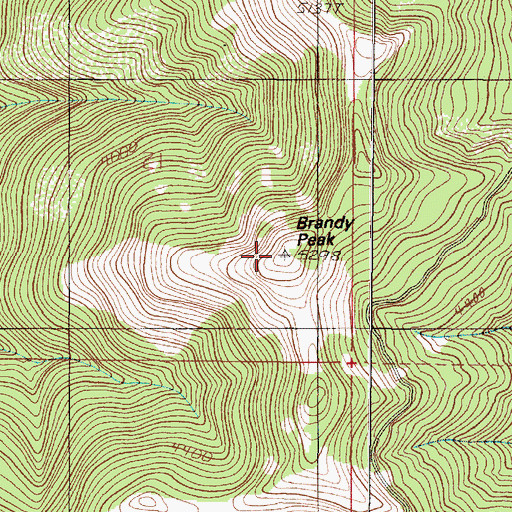 Topographic Map of Brandy Peak, OR