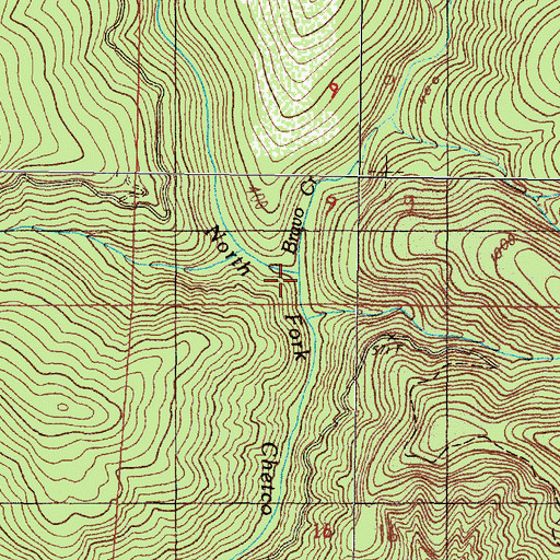 Topographic Map of Bravo Creek, OR