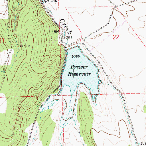 Topographic Map of Brewer Reservoir, OR