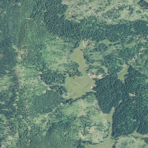 Aerial/Satellite Image of Brown Meadows, OR