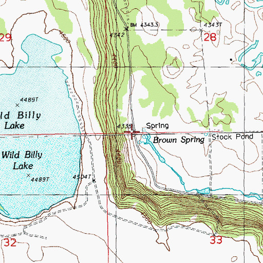 Topographic Map of Brown Spring, OR