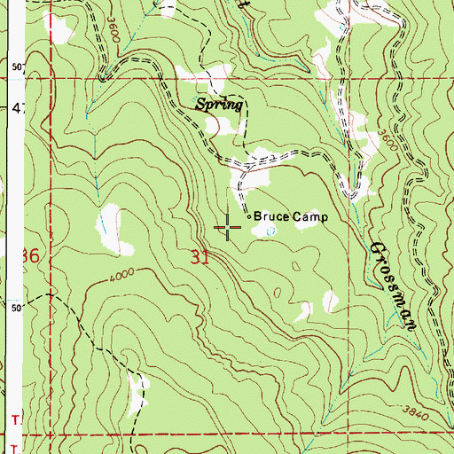 Topographic Map of Bruce Camp, OR