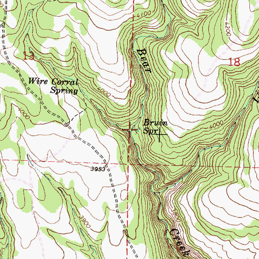 Topographic Map of Brum Spring, OR