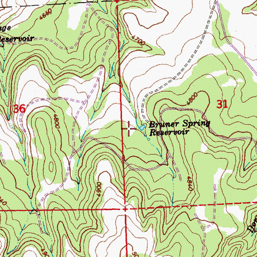 Topographic Map of Bruner Spring Reservoir, OR