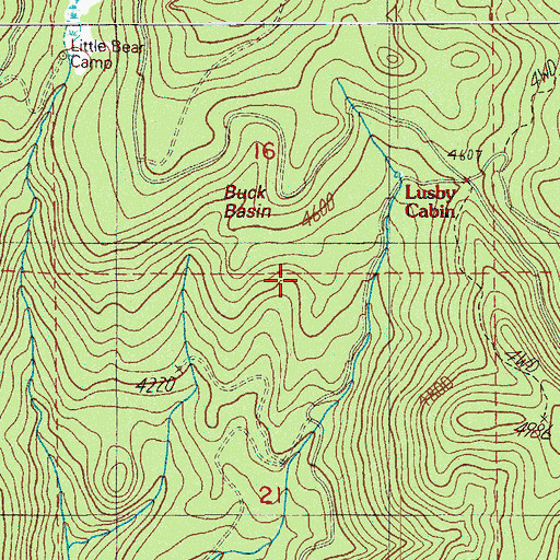 Topographic Map of Buck Basin, OR