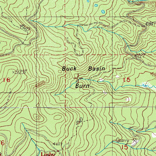 Topographic Map of Buck Basin Burn, OR
