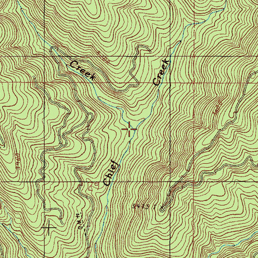 Topographic Map of Buck Creek, OR