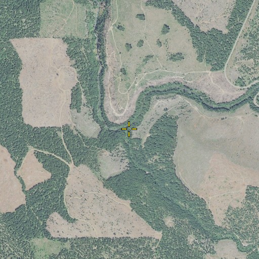 Aerial/Satellite Image of Buck Creek, OR