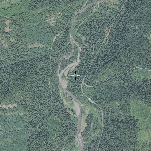 Aerial/Satellite Image of Buck Creek, OR