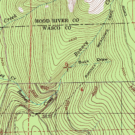 Topographic Map of Buck Draw, OR