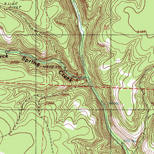 Topographic Map of Buck Spring Creek, OR