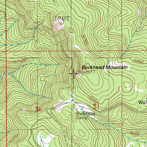 Topographic Map of Buckhead Mountain, OR