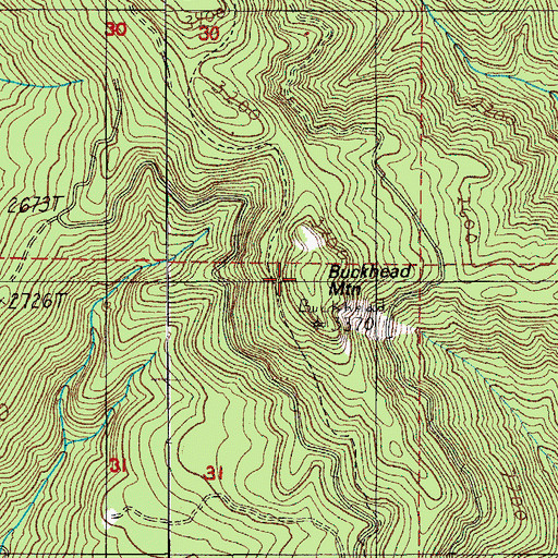 Topographic Map of Buckhead Mountain, OR