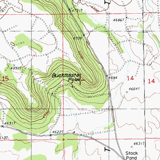 Topographic Map of Buckmaster Point, OR
