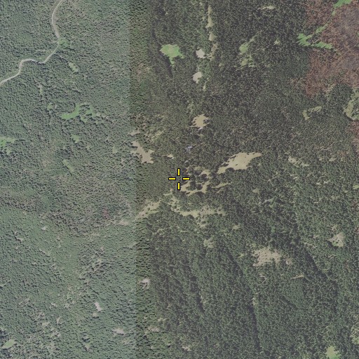 Aerial/Satellite Image of Buckneck Mountain, OR