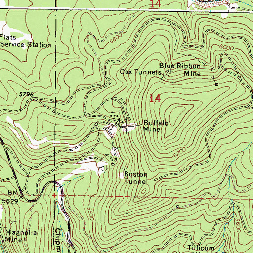 Topographic Map of Buffalo Mine, OR