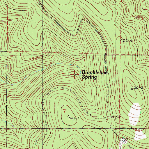 Topographic Map of Bumblebee Spring, OR