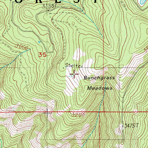 Topographic Map of Bunchgrass Meadows, OR