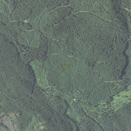 Aerial/Satellite Image of Bunchgrass Trail, OR