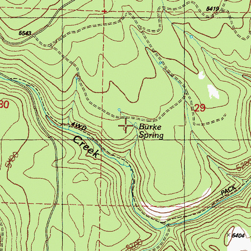 Topographic Map of Burke Spring, OR