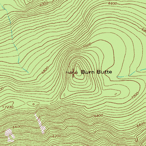 Topographic Map of Burn Butte, OR