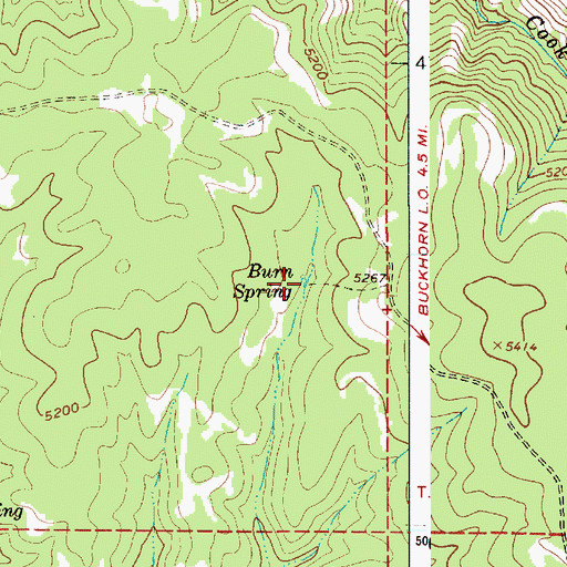 Topographic Map of Burn Spring, OR
