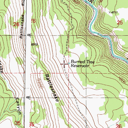 Topographic Map of Burned Tree Reservoir, OR